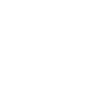 Logo Neuralia